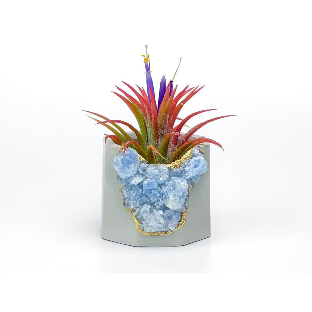 Succulent Crystal Planter | Geode Planter | Raw Blue Calcite - Picture 2 of 9